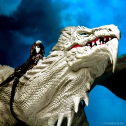 D&D Icons of the Realms Miniatures: Icewind Dale: Rime of the Frostmaiden – Arveiaturace Premium Set D&D Icons of the Realms Miniatures: Icewind Dale: Rime of the Frostmaiden – Arveiaturace Premium Set