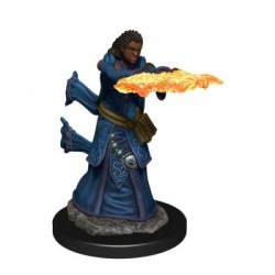 Icons of The Realms Premium Figures - Human Female Wizard