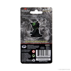 Icons of The Realms Premium Figures - Elf Male Druid