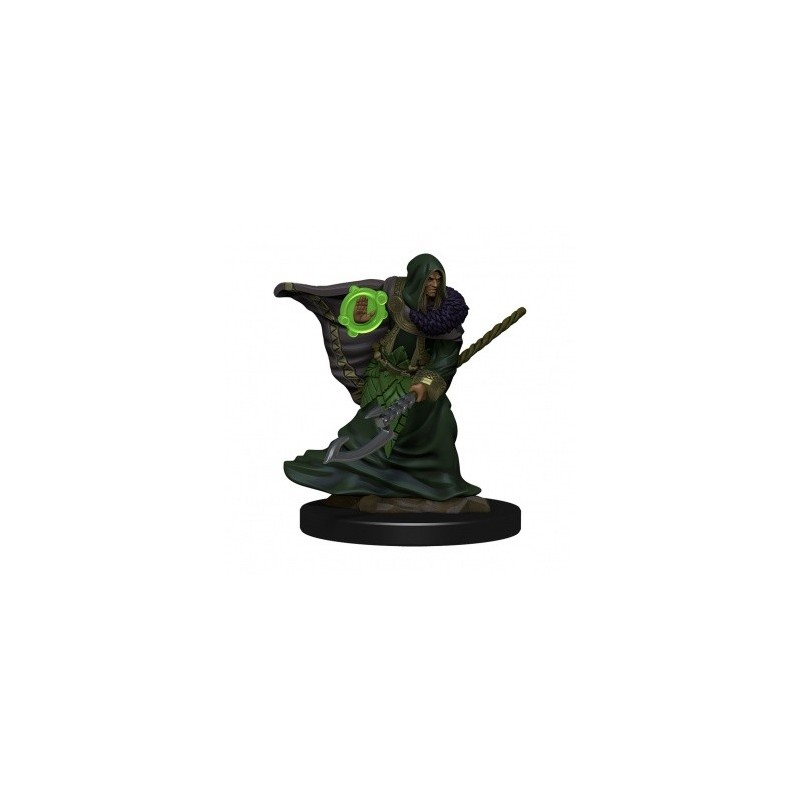 Icons of The Realms Premium Figures - Elf Male Druid