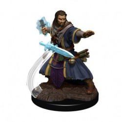 Icons of The Realms Premium Figures - Human Male Wizard
