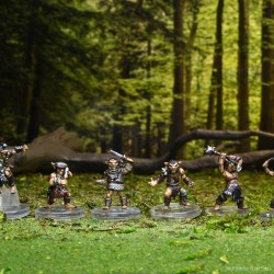 Icons of the Realms: Monster Pack: Goblin Warband