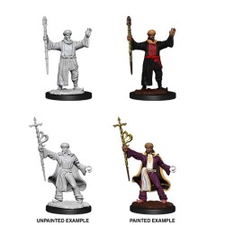 D&D Nolzur´s Miniatures Human Wizard Male
