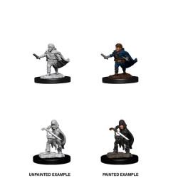 D&D Nolzur´s Miniatures Halfling Male Rogue