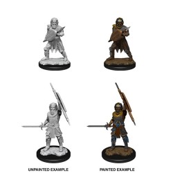 D&D Nolzur´s Miniatures Human Fighter Male
