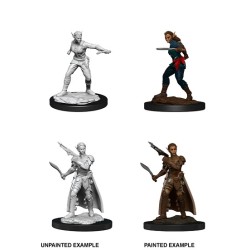 D&D Nolzur´s Miniatures Shifter Rogue Female