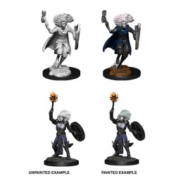 D&D Nolzur´s Miniatures Changeling Cleric