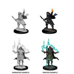 Pathfinder Battles Deep Cuts - Elf Sorcerer Male