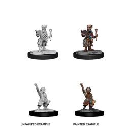 D&D Nolzur's Marvelous Miniatures Gnome Artificer Male