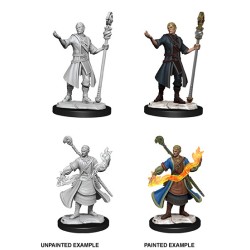 D&D Nolzur's Marvelous Miniatures Half-Elf Wizard Male