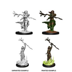 D&D Nolzur's Marvelous Miniatures Human Druid Female