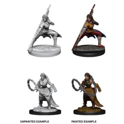D&D Nolzur's Marvelous Miniatures Human Monk Female