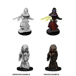 D&D Nolzur's Marvelous Miniatures Night Hag & Dusk Hag