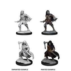 D&D Nolzur's Marvelous Miniatures Warforged Rogue