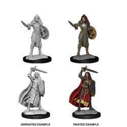 Pathfinder Battles Deep Cuts - Human Champion Female