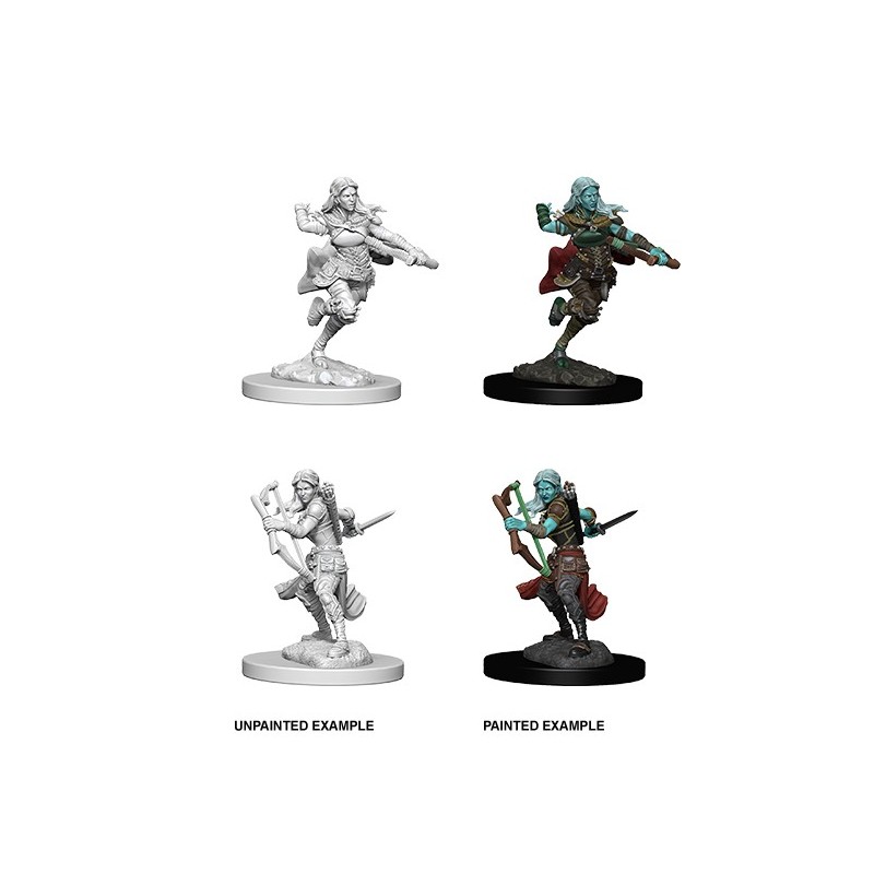 D&D Nolzur´s Miniatures Air Genasi Female Rogue