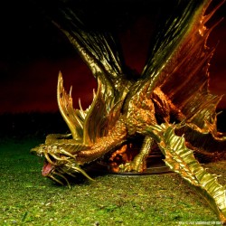 D&D Icons of the Realms Miniatures: Adult Gold Dragon Premium Figure
