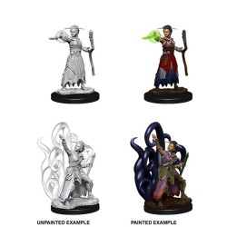 D&D Nolzur´s Miniatures Human Female Warlock