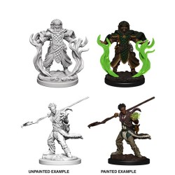 D&D Nolzur´s Miniatures Human Male Druid