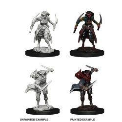 D&D Nolzur´s Miniatures Tiefling Female Rogue
