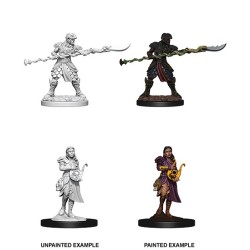 D&D Nolzur´s Miniatures Yuan-Ti Purebloods Adventurers