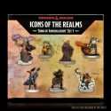 D&D Icons of the Realms: Tomb of Annihilation - Box 1