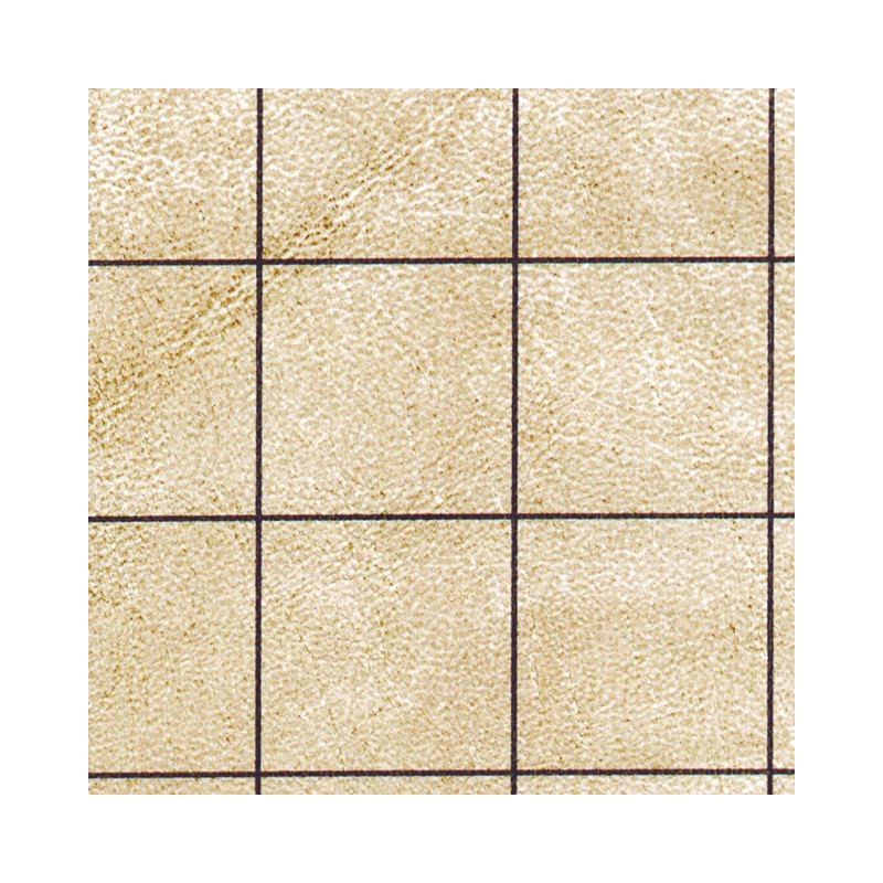 Spillemåtte - Battlemat® 1"" Reversible Squares & 1"" Hexes Spillemåtte - Battlemat® 1"" Reversible Squares & 1"" Hexes