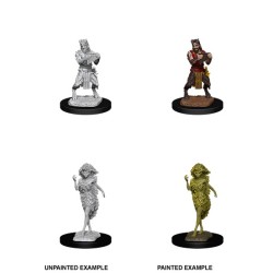 D&D Nolzur´s Miniatures Satyr & Dryad
