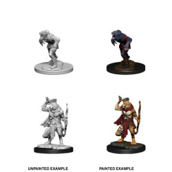 D&D Nolzur´s Miniatures Wererat & Weretiger