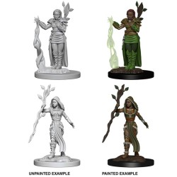 D&D Nolzur´s Miniatures Human Female Druid