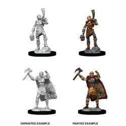 D&D Nolzur´s Miniatures Human Female Barbarian
