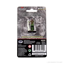 Icons of The Realms Premium Figures - Human Female Druid