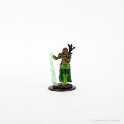 Icons of The Realms Premium Figures - Human Female Druid
