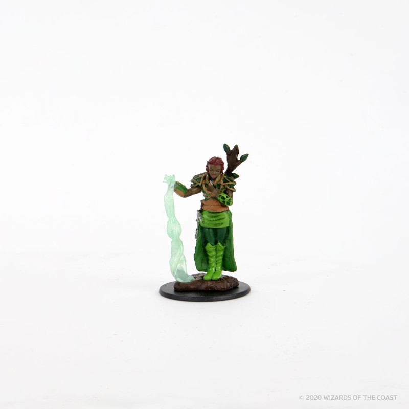 Icons of The Realms Premium Figures - Human Female Druid