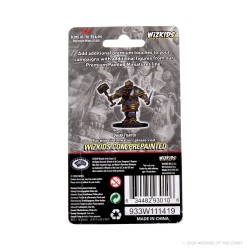 Icons of The Realms Premium Figures - Dwarf Male Fighter