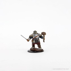 Icons of The Realms Premium Figures - Dwarf Male Fighter