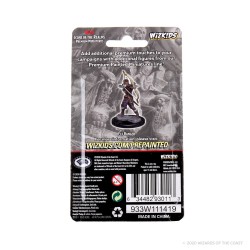 Icons of The Realms Premium Figures - Elf Female Ranger