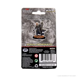 Icons of The Realms Premium Figures - Elf Male Cleric