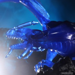 D&D Icons of the Realms: Sapphire Dragon Premium Figure D&D Icons of the Realms: Sapphire Dragon Premium Figure